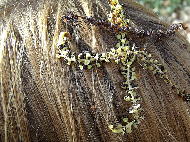 The girl with catkins in her hair
