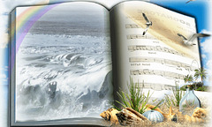 Composition avec une photo de la mer à l'anse Duguesclin (35)