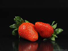 Die ersten Erdbeeren (aus Spanien) 2023