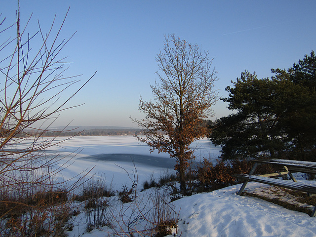 Steinberger See im Winter