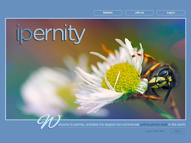 ipernity homepage with #1372