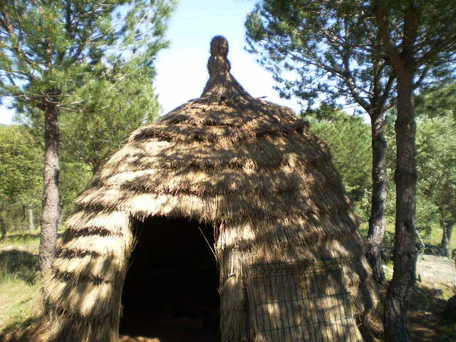 Thatch shelter.