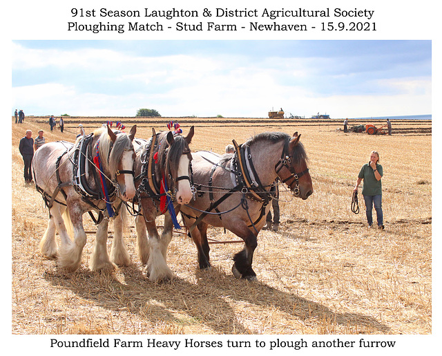 Poundfield Farm Working Heavy Horses ploughing team turning