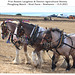 Poundfield Farm Working Heavy Horses ploughing team