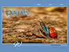 ipernity homepage with #1371