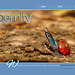 ipernity homepage with #1371