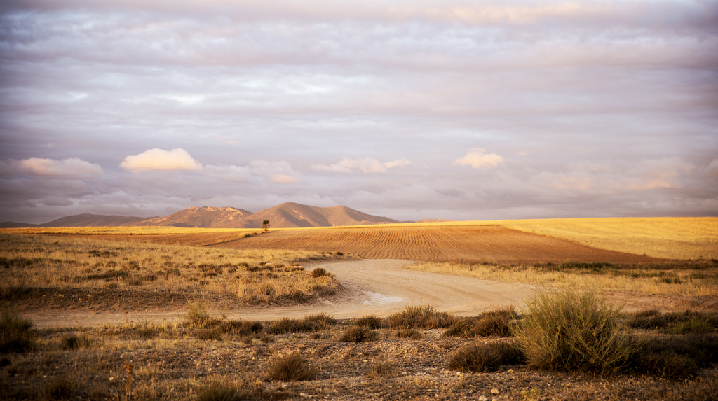 Dulce amanecer en campos de La Mancha (sobre fondo negro)