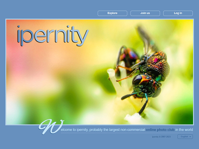 ipernity homepage with #1413