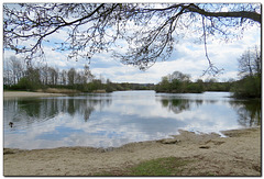 Inselsee
