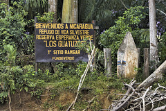 Welcome to Nicaragua – Caño Negro National Wildlife Refuge, Río Frío, Alajuela Province, Costa Rica