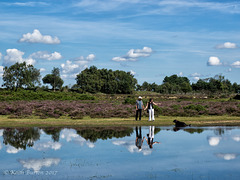 Janesmoor Pond, New Forest (3)