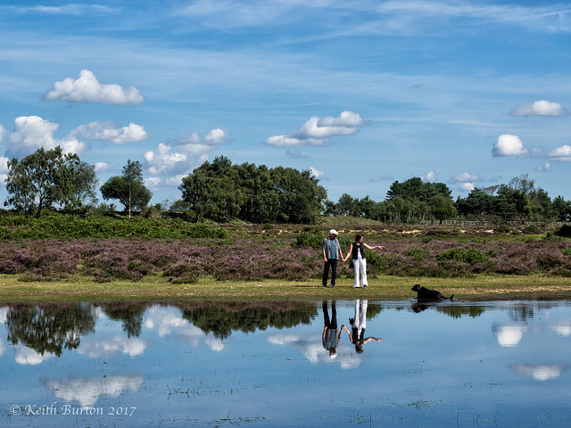 Janesmoor Pond, New Forest (3)