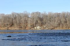 Potomac