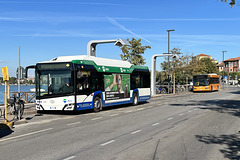 Venice 2022 – Lido – Buses