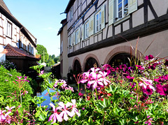 FR - Wissembourg
