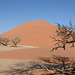 Namibia, Sossusvlei National Park, Dune No39