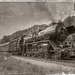 historic train - (find the traitor) - Finde den Verräter! ;-)
