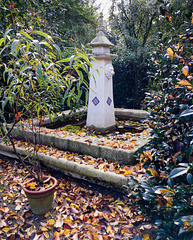 Arboretum Neuenkoop