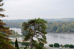 La Loire à Langeais