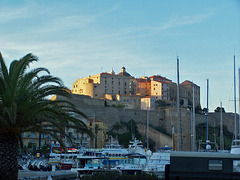 Calvi, die Zitadelle am Hafen