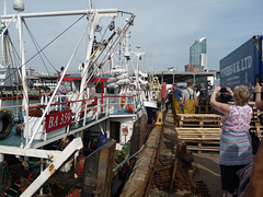 Ellen Ann BA359 unloads scallops at Camber Dock, Old Portsmouth