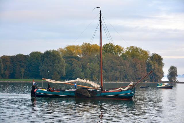 Hoorn 2016 – Sailing ship Dankbaarheid