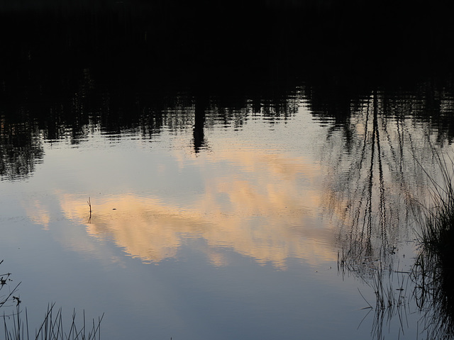 Dawn reflections