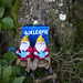 Two Gnomes