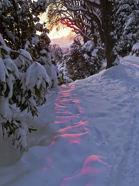 The bright trail towards the light