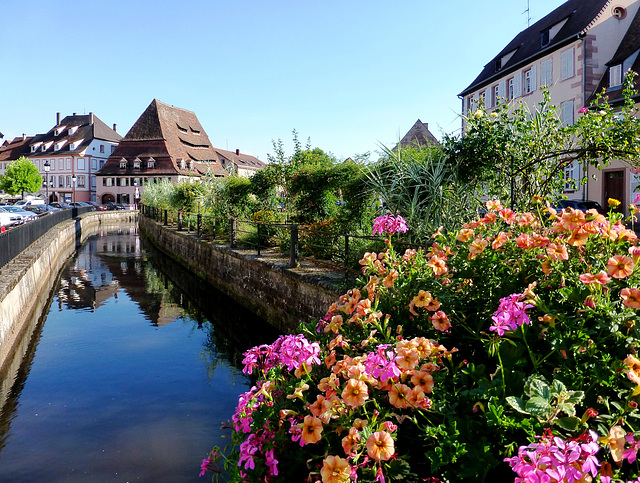 FR - Wissembourg - The Lauter and Maison du Sel