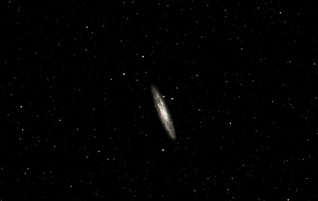 Sculptor Galaxy   NGC253
