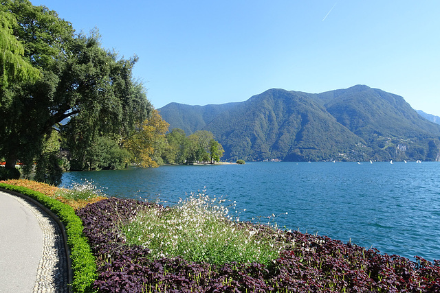 View From Parco Ciani