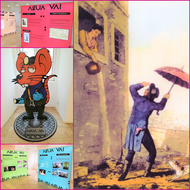 "ÁGUA VAI" ("WATER GOES") Exhibition