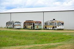 USA 2016 – Antique Powerland – Trolley buses