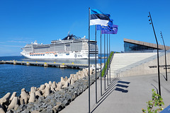 Am Hafen von Tallinn (2 PiP)