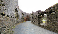 restormel castle, cornwall (19)