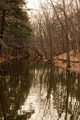 Sandstone Creek