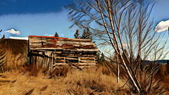 Cool cabin near Quesnel, BC