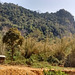 Un moment trop éphémère au paradis du Laos