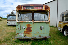 USA 2016 – Antique Powerland – 1944 Pullman Trolley Bus #648