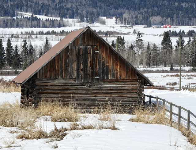 A rural "winter" scene