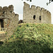 restormel castle, cornwall (2)