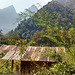 Une toiture parmi la nature ...... (Laos)