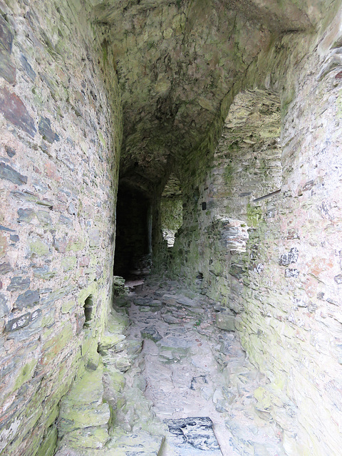 restormel castle, cornwall (4)