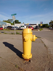 Yellow hydrant & plane