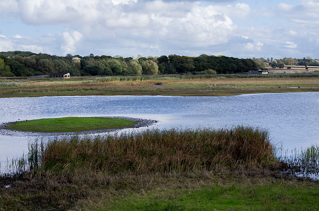 View of the lake from the bird hide at Burton Mere