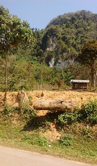La campagne du Laos enchanteur / Laos countryside