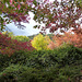 Botanical gardens Mount Lofty