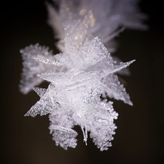Wie scharf diese Eiskristalle sein können :))  How sharp these ice crystals can be :)) Comment ces cristaux de glace peuvent être tranchants :))