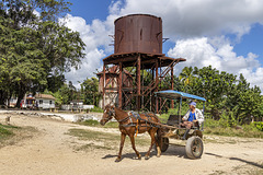 rusty horse with Alexis' tank